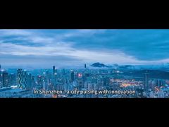 Популярные продукты Joydentalab: симулированные эстетические фанеры